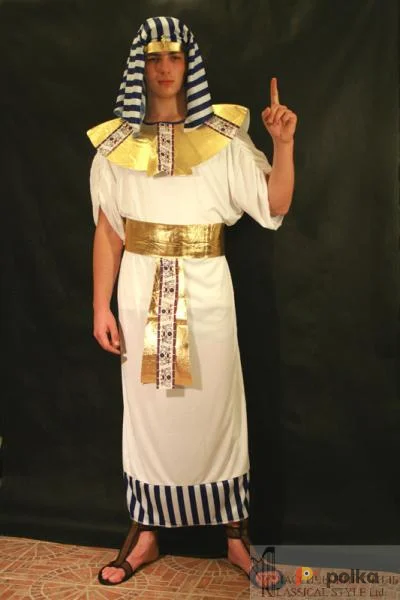 Возьмите Египтянин напрокат (Фото 1) в Санкт-Петербурге