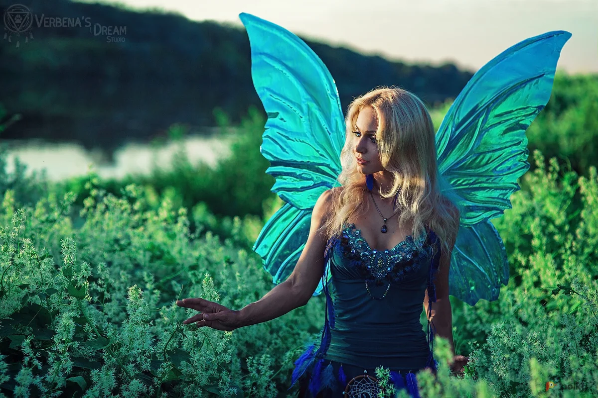 Возьмите Крылья бабочки напрокат (Фото 1) в Москве