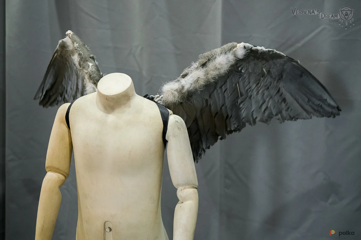 Возьмите Крылья Аиста напрокат (Фото 1) в Москве