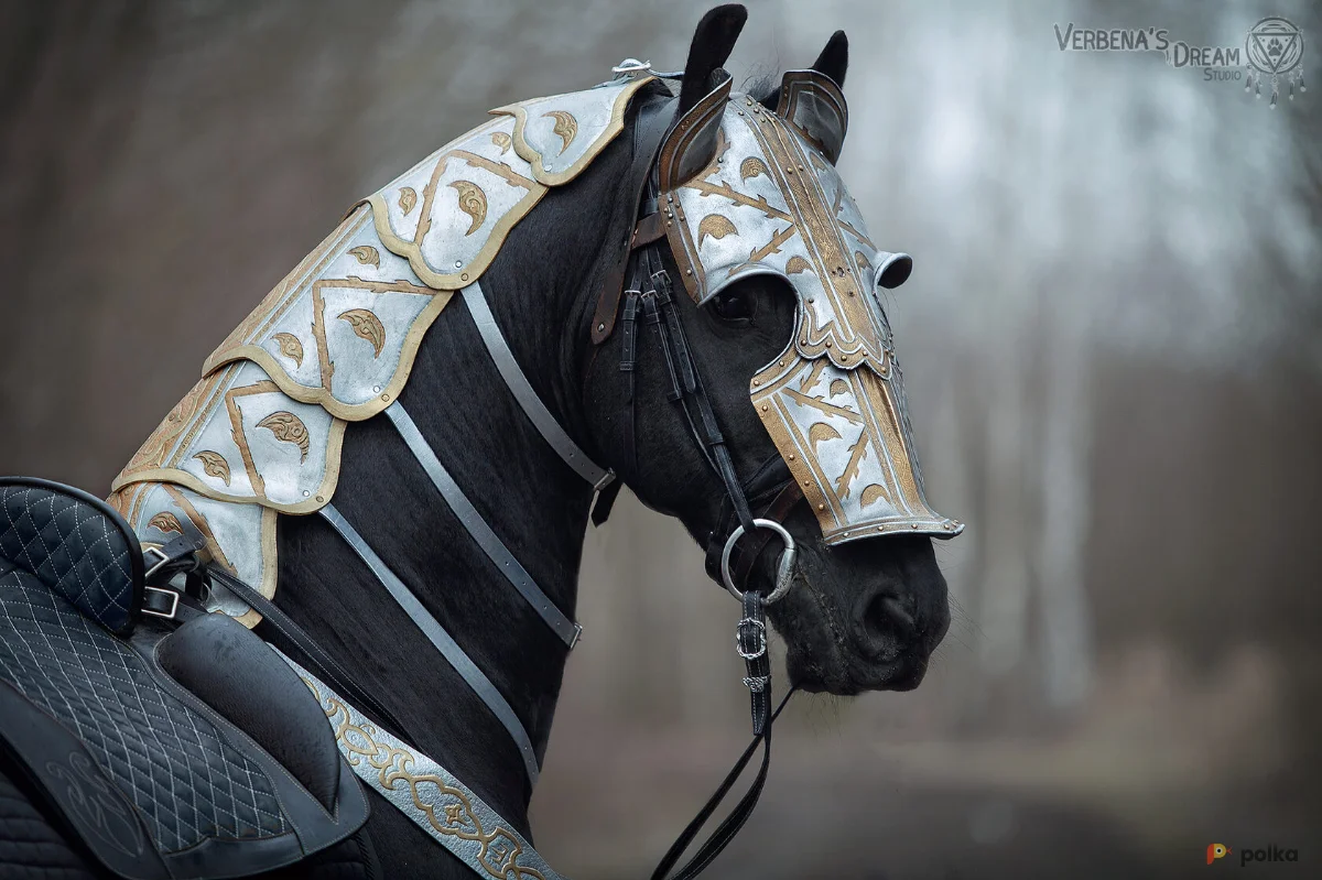 Возьмите Кожаные рыцарские доспехи на коня напрокат (Фото 1) в Москве