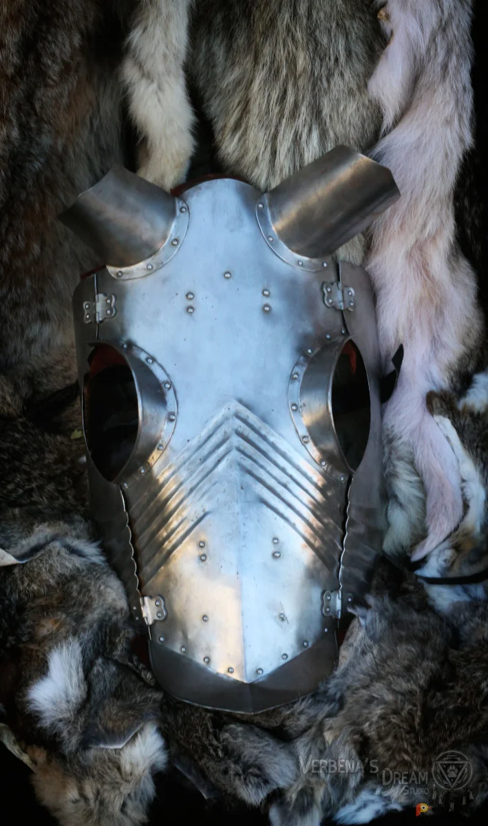 Возьмите Стальные рыцарские доспехи на коня напрокат (Фото 1) в Москве