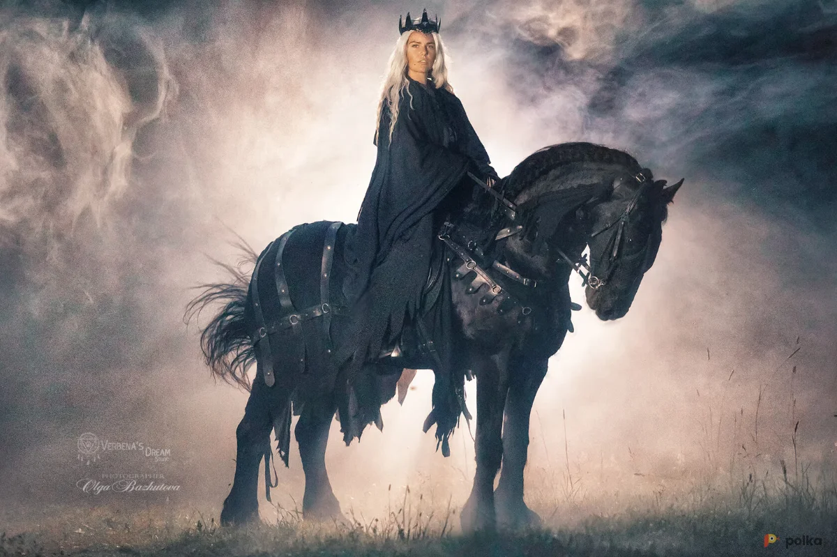 Возьмите Попона коня Назгула напрокат (Фото 1) в Москве