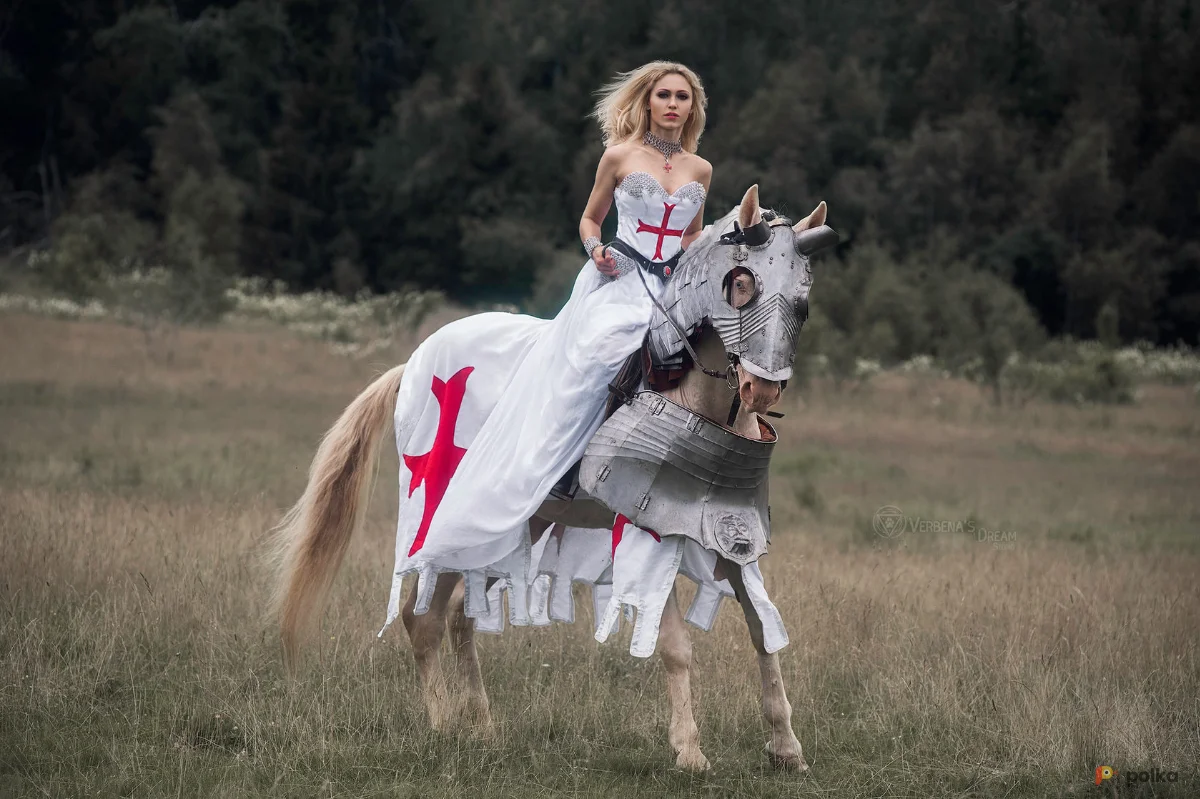 Возьмите Попона тамплиера напрокат (Фото 1) в Москве