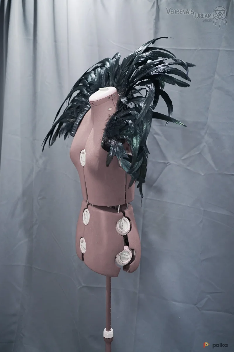 Возьмите Перьевой воротник черный напрокат (Фото 1) в Москве