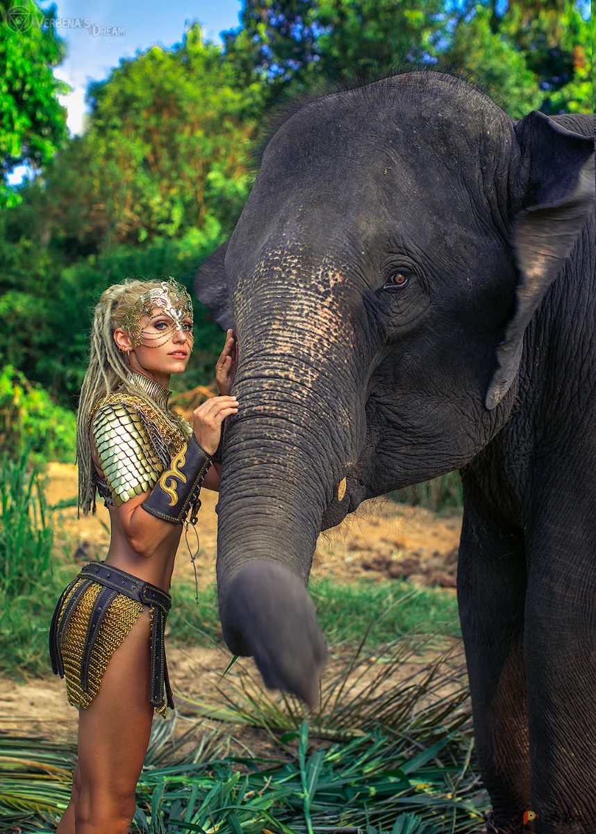 Возьмите Пояс с ремнями напрокат (Фото 1) в Москве