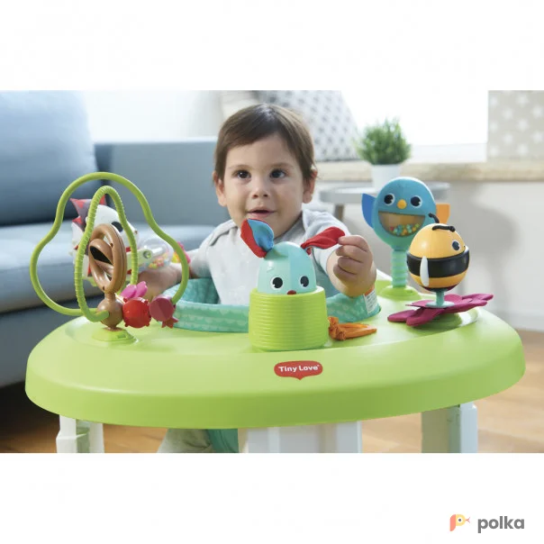 Возьмите ХОДУНКИ-ПРЫГУНКИ "ЛЕСНАЯ СКАЗКА" 3В1, TINY LOVE напрокат (Фото 1) В Ростове-на-Дону