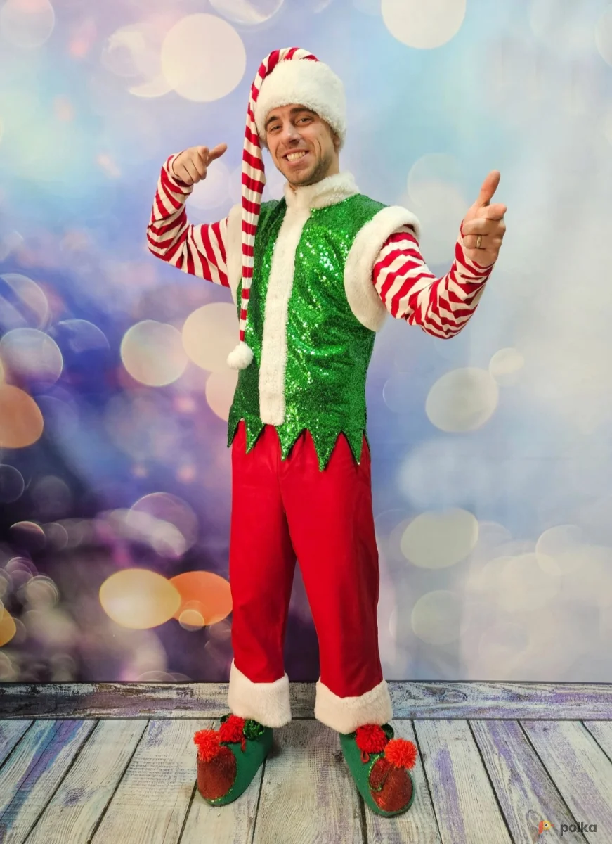 Возьмите Костюм Эльф мужской напрокат (Фото 1) в Москве