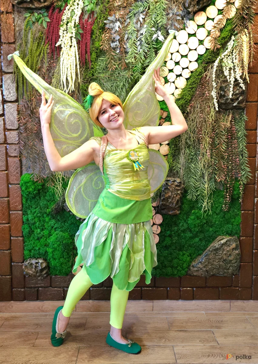 Возьмите Костюм фея Динь-динь напрокат (Фото 1) в Москве