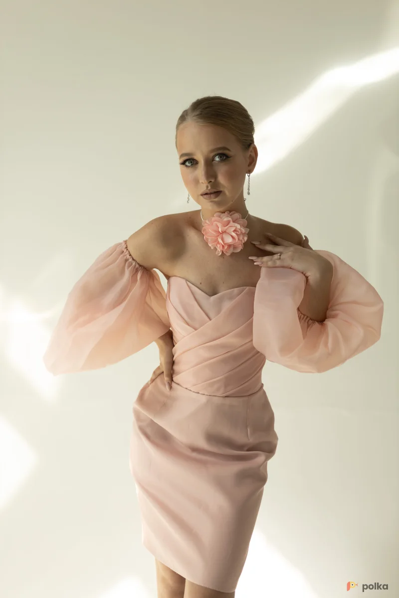 Возьмите Платье вечернее Зиновья пудра напрокат (Фото 1) В Туле