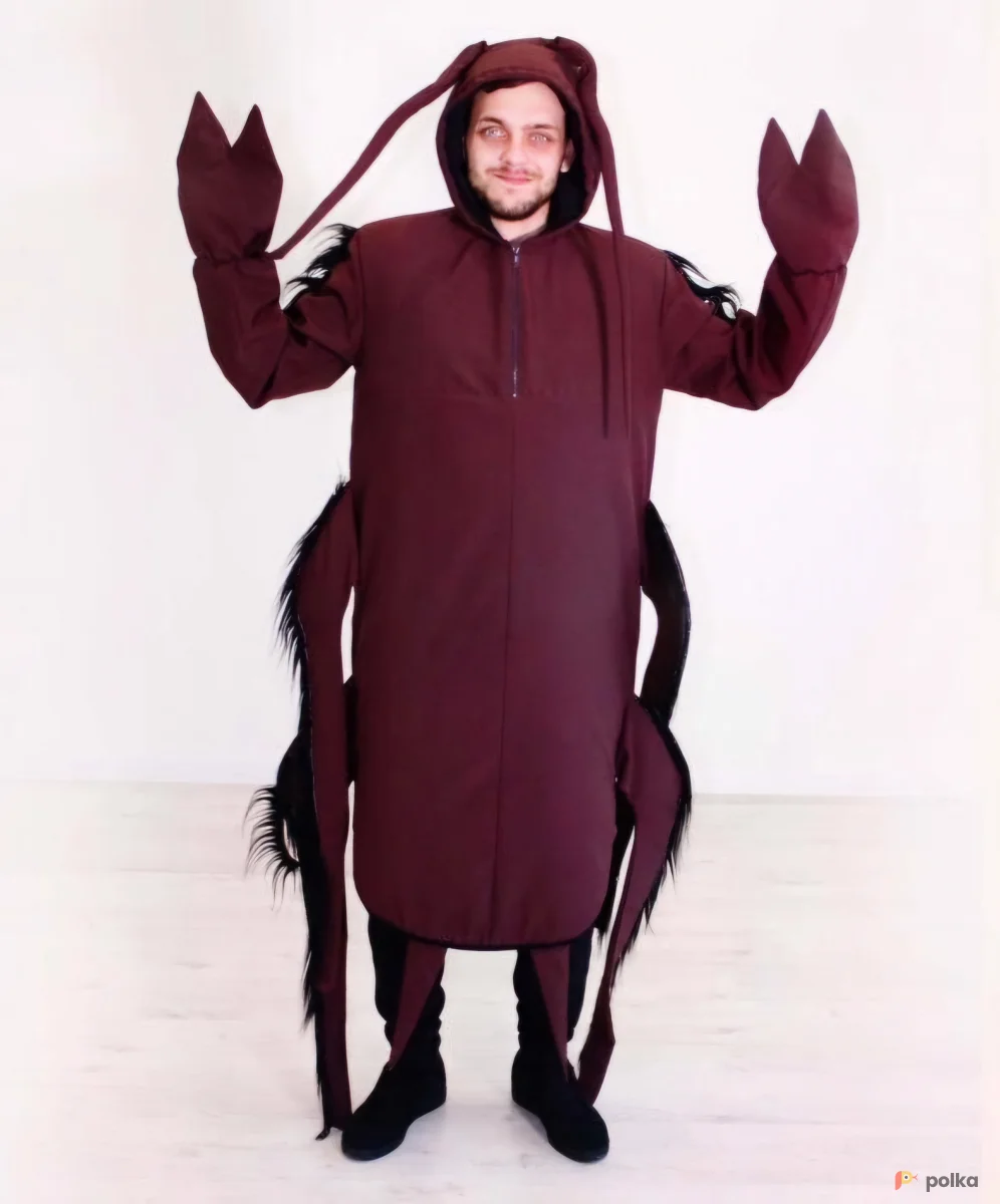 Возьмите Таракан костюм напрокат (Фото 1) в Москве