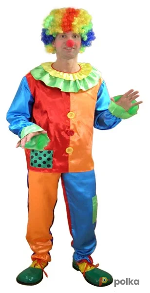 Возьмите Клоун шелковый костюм напрокат (Фото 1) в Москве