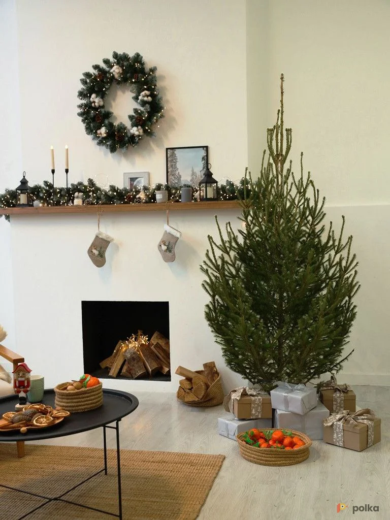 Возьмите Живая ёлка в аренду на Новый Год + поддон для кашпо напрокат (Фото 1) в Москве