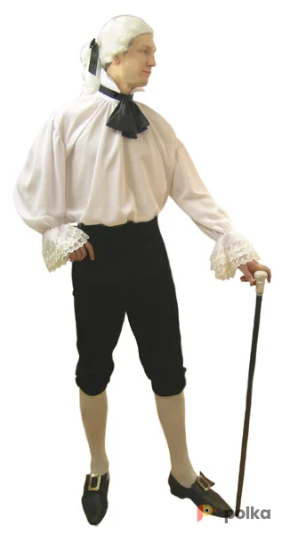 Возьмите Моцарт Костюм напрокат (Фото 1) в Москве