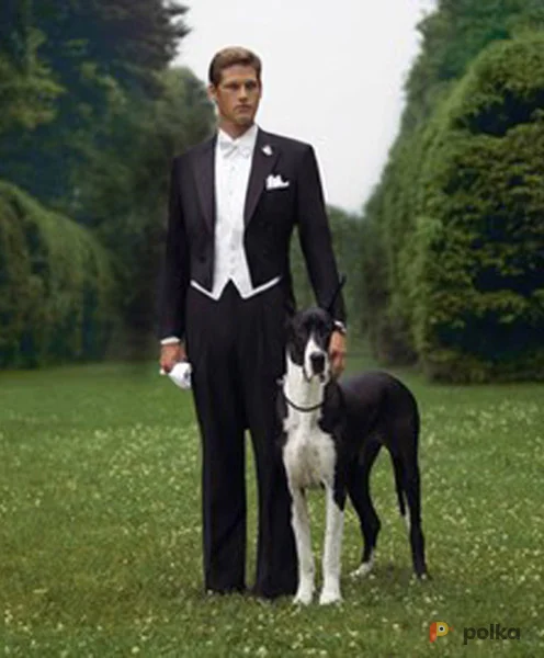 Возьмите Фрак 1 напрокат (Фото 1) в Москве