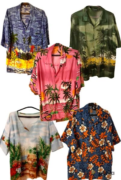 Возьмите Рубашки гавайские напрокат (Фото 1) в Москве
