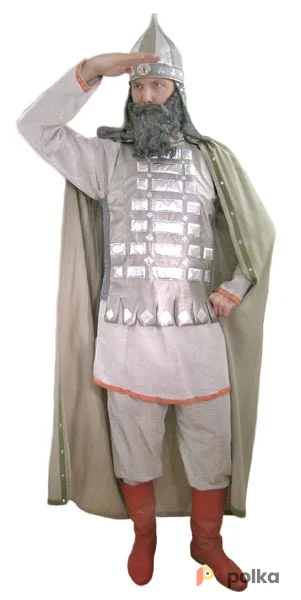 Возьмите Богатырь 2 Костюм напрокат (Фото 1) в Москве