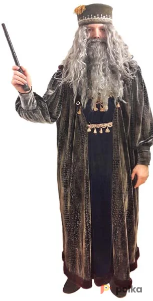 Возьмите Дамблдор Профессор Костюм напрокат (Фото 1) в Москве