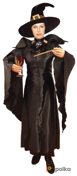 Возьмите Минерва Костюм напрокат (Фото 1) в Москве