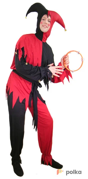 Возьмите Костюм шута напрокат (Фото 1) в Москве