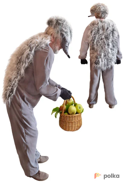 Возьмите Костюм Ежика напрокат (Фото 1) в Москве