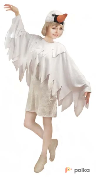 Возьмите Чайка Костюм напрокат (Фото 1) в Москве