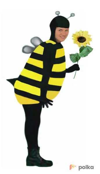 Возьмите Пчела Костюм напрокат (Фото 1) в Москве