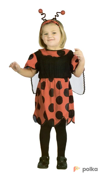 Возьмите Божья Коровка Костюм детский напрокат (Фото 1) в Москве