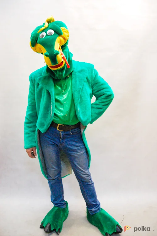 Возьмите КОСТЮМ ДРАКОНА эконом напрокат (Фото 1) в Москве