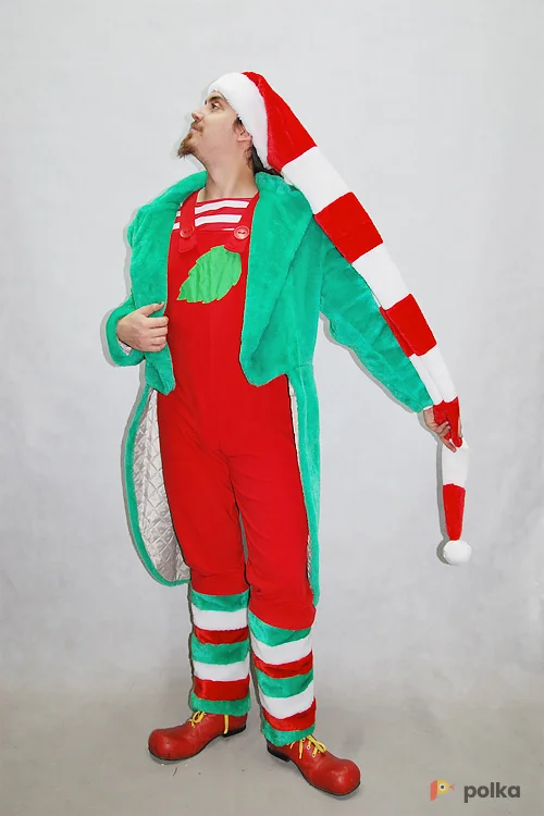 Возьмите РОЖДЕСТВЕНСКИЙ ГНОМ №1 напрокат (Фото 1) в Москве