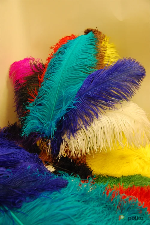 Возьмите ПЕРЬЯ ДЛЯ МАСКАРАДНЫХ КОСТЮМОВ напрокат (Фото 1) в Москве