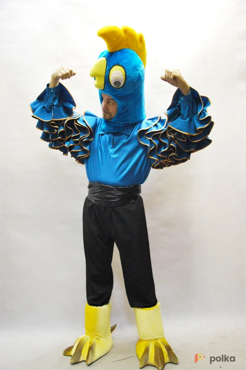 Возьмите КОСТЮМ ПОПУГАЯ напрокат (Фото 1) в Москве