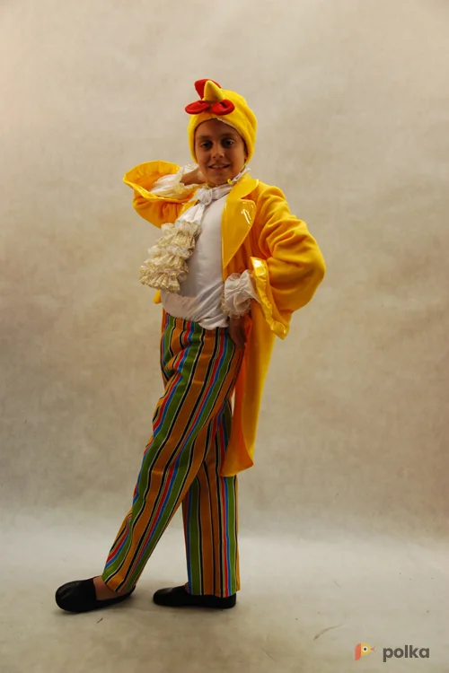 Возьмите ЦЫПЛЕНОК ВО ФРАКЕ напрокат (Фото 1) в Москве