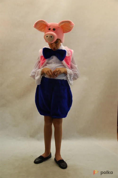 Возьмите КОСТЮМ ПОРОСЕНКА напрокат (Фото 1) в Москве