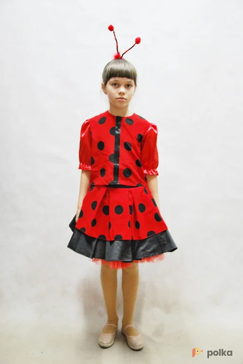 Возьмите КОСТЮМ БОЖЬЕЙ КОРОВКИ напрокат (Фото 1) в Москве