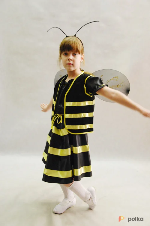 Возьмите КОСТЮМ ПЧЕЛКИ напрокат (Фото 1) в Москве