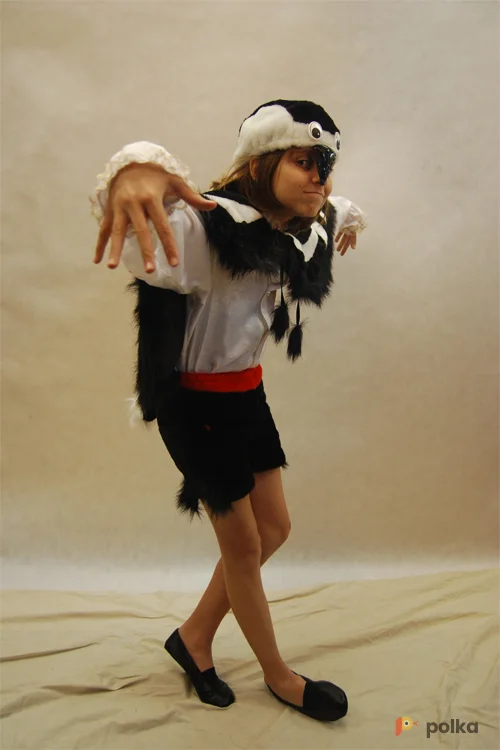 Возьмите КОСТЮМ ПТИЦЫ напрокат (Фото 1) в Москве