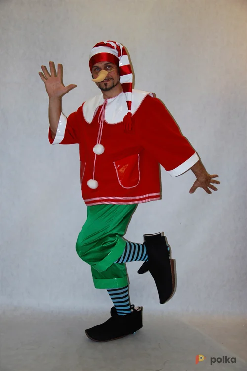 Возьмите КОСТЮМ БУРАТИНО напрокат (Фото 1) в Москве