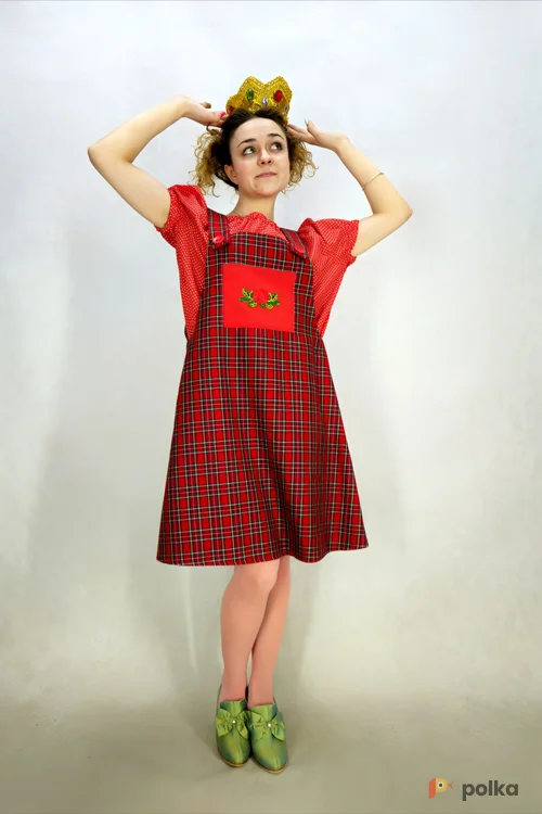 Возьмите КОСТЮМ ПРИНЦЕССЫ ТРУБАДУРОЧКИ №2 (+мантия) напрокат (Фото 1) в Москве