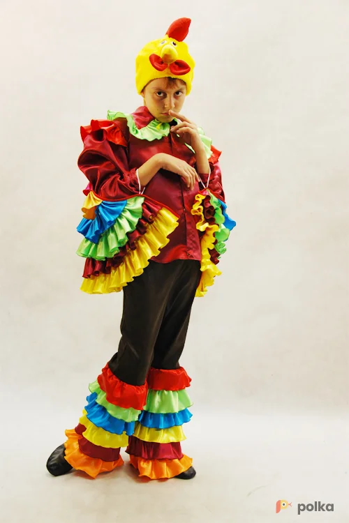 Возьмите КОСТЮМ ПЕТУХА (шелк) напрокат (Фото 1) в Москве