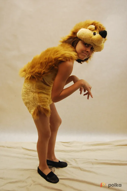 Возьмите КОСТЮМ ЕЖИКА напрокат (Фото 1) в Москве