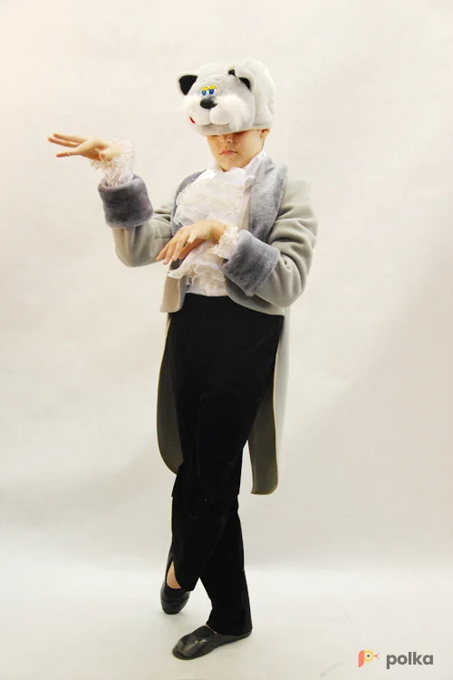 Возьмите КОСТЮМ КОТА В СЕРОМ ФРАКЕ напрокат (Фото 1) в Москве