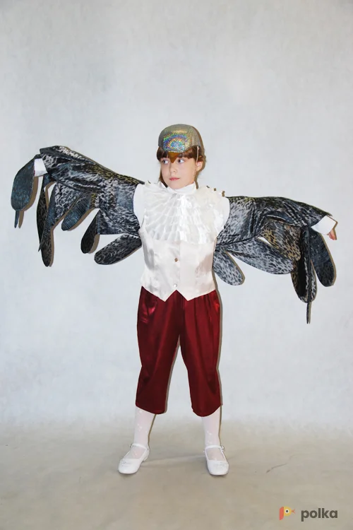 Возьмите ВОРОБЕЙ напрокат (Фото 1) в Москве