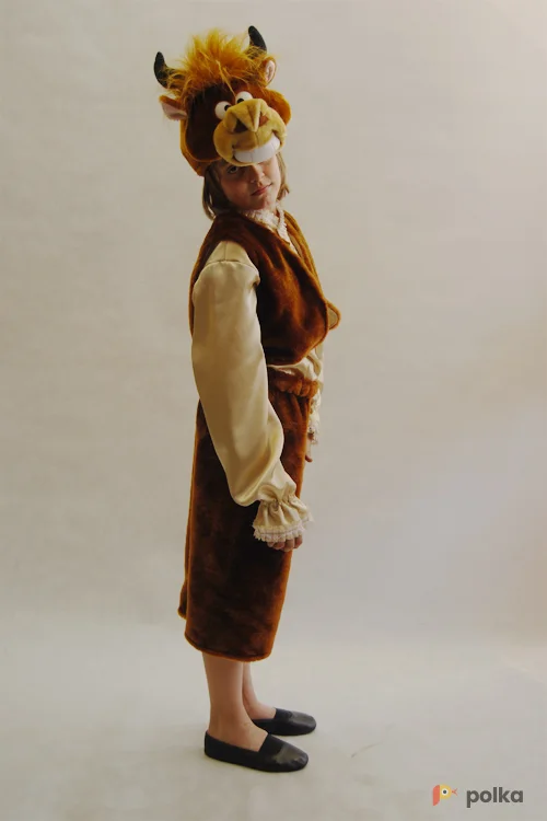 Возьмите КОСТЮМ БЫЧКА напрокат (Фото 1) в Москве