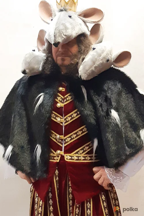 Возьмите МАНТИЯ №17 напрокат (Фото 1) в Москве