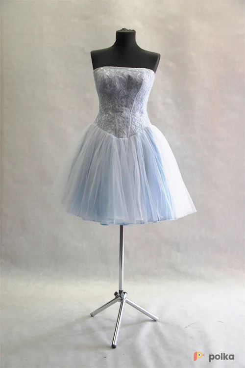 Возьмите ПЛАТЬЕ БАЛЕРИНЫ напрокат (Фото 1) в Москве