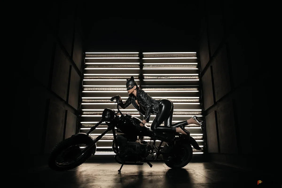 Возьмите Женский Образ «Женщина кошка»2 напрокат (Фото 1) В Нижнем Новгороде