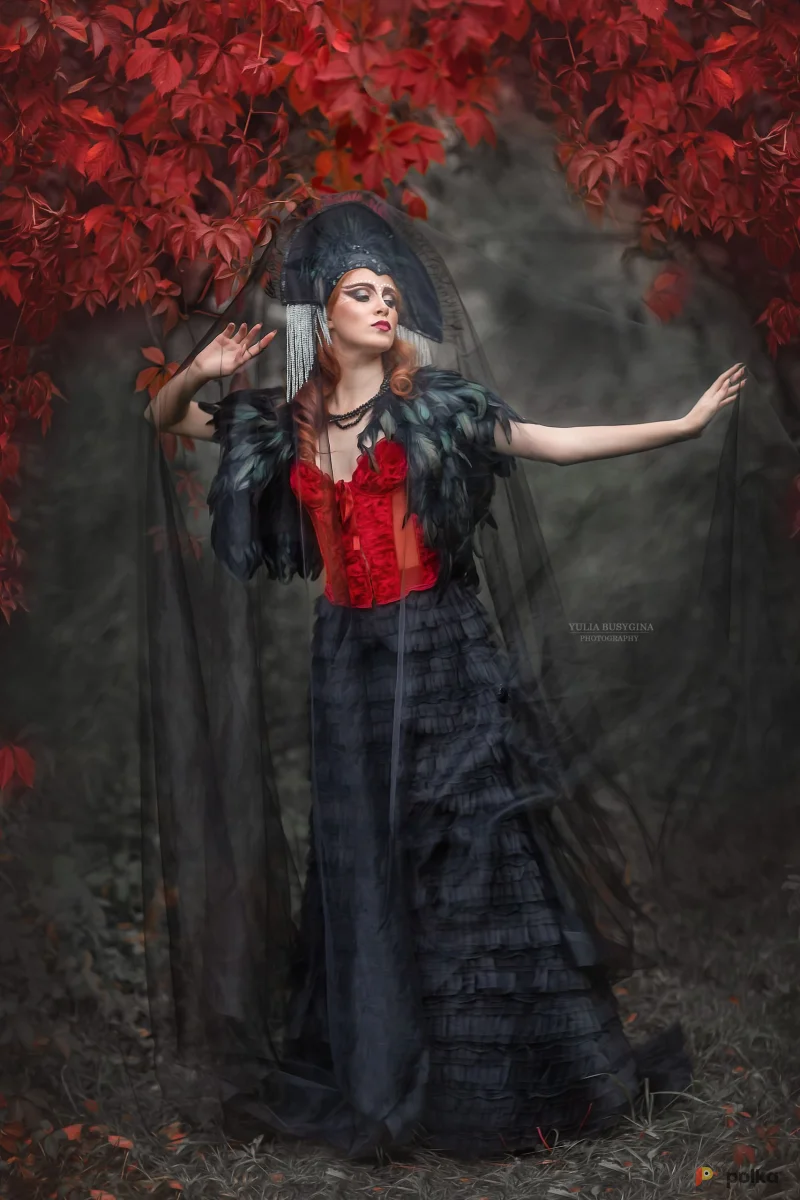 Возьмите Женский Образ Черный лебедь напрокат (Фото 1) В Нижнем Новгороде