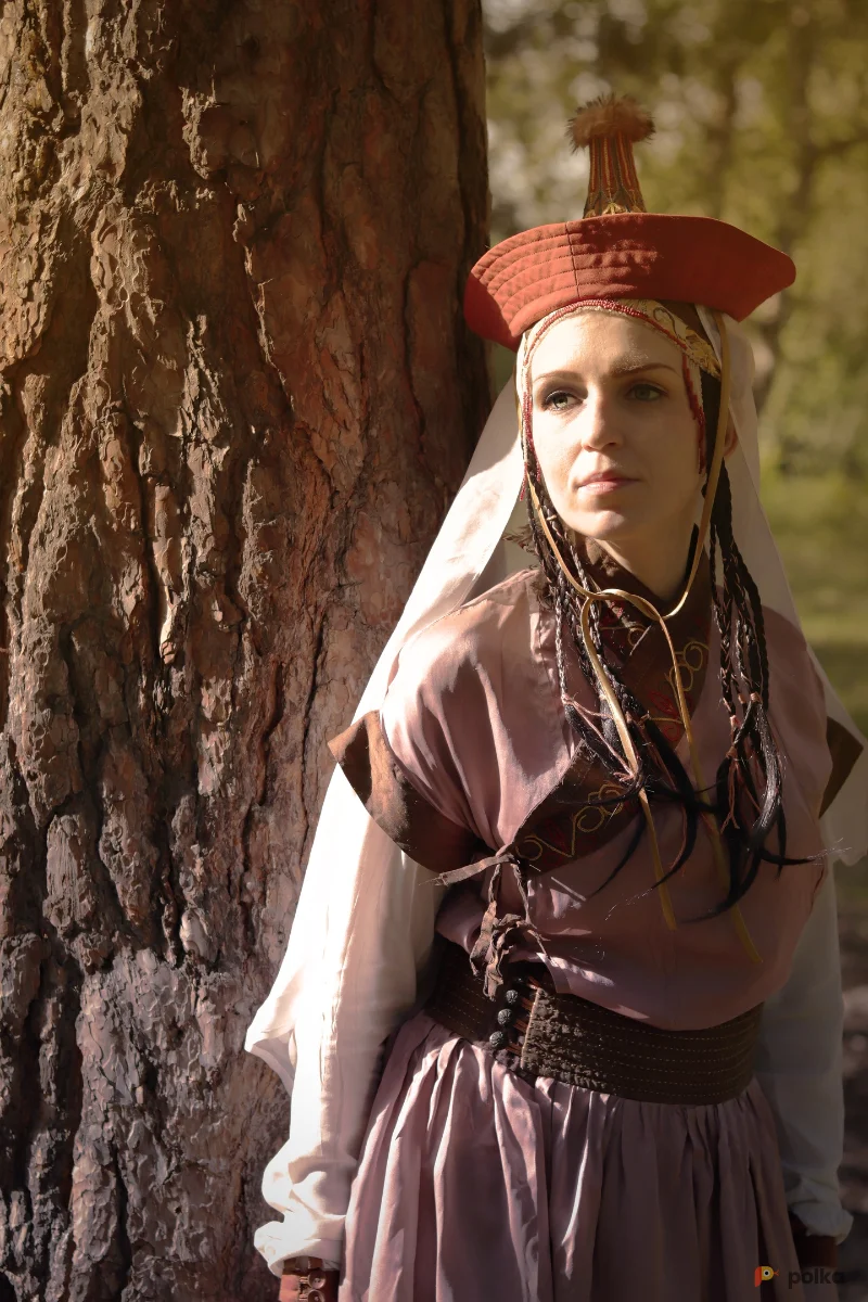 Возьмите Женский монгольский национальный костюм (стилизация) напрокат (Фото 1) В Нижнем Новгороде