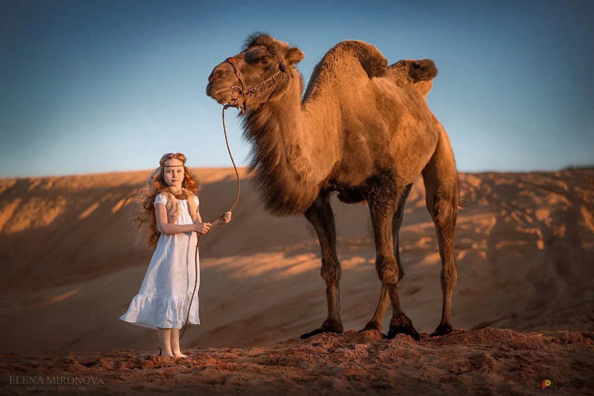 Возьмите Платье льняное для девочки напрокат (Фото 1) В Нижнем Новгороде