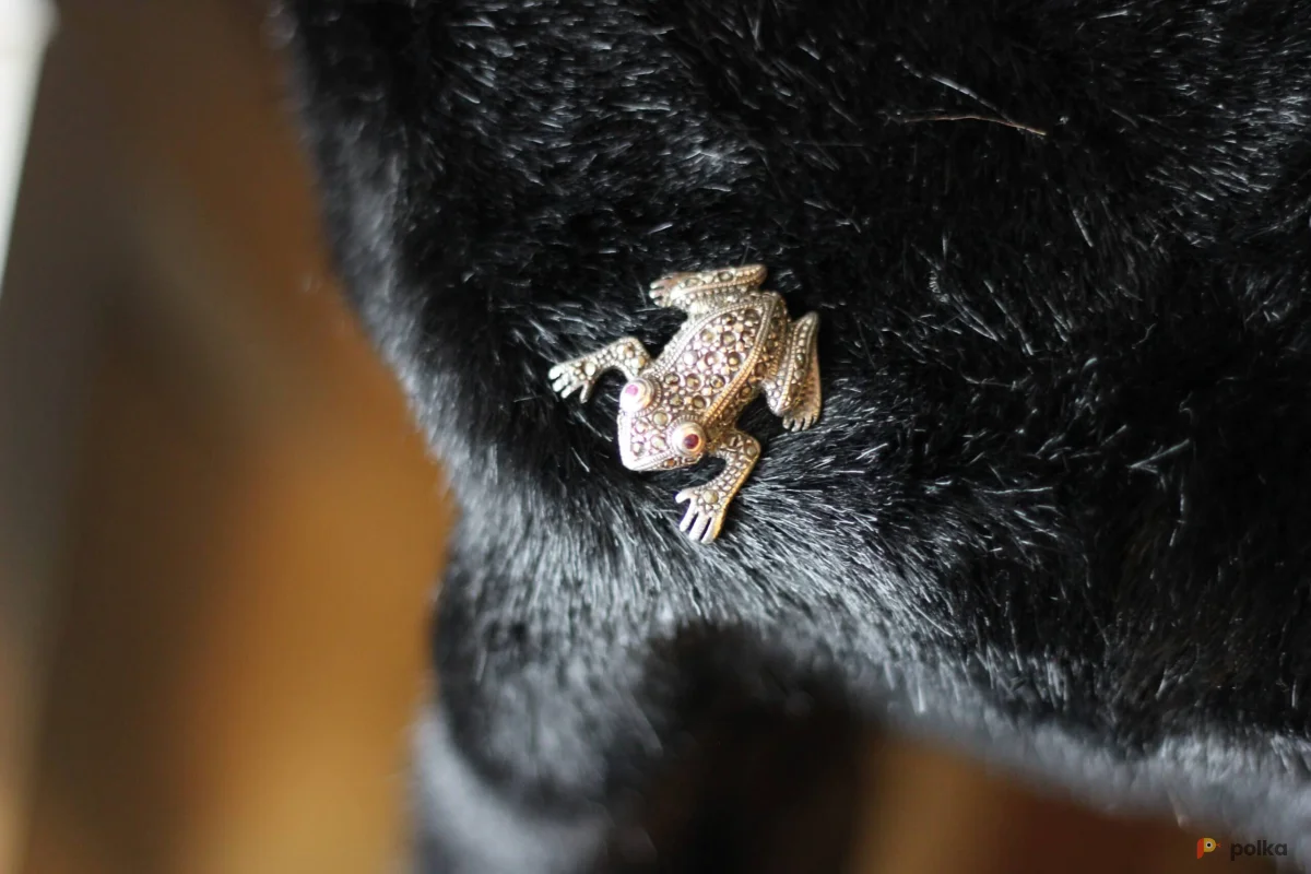 Возьмите Брошь Лягушка напрокат (Фото 1) В Нижнем Новгороде